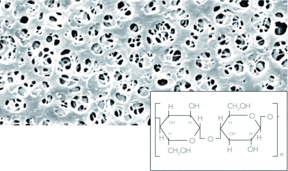 Sartorius Membrane Filters 13mm 0.45µm (Pack of 100) - 18406-13-N