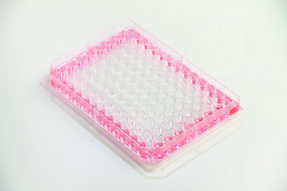 Thermo Nunc Microplates Nunc Edge 2.0 96-Well, Flat Bottom, Clear, Non-Sterile, With Lid, Non-Treated, Bulk Pack of 10x16