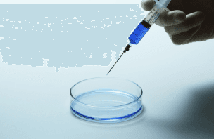 From Culture to Discovery: How Petri Dishes Shape Modern Microbiology