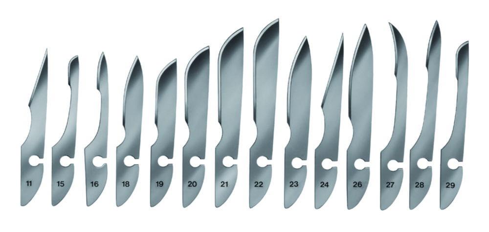 Bayha Scalpel Blades, Type 11, Sterile, Pack of 12 Blades