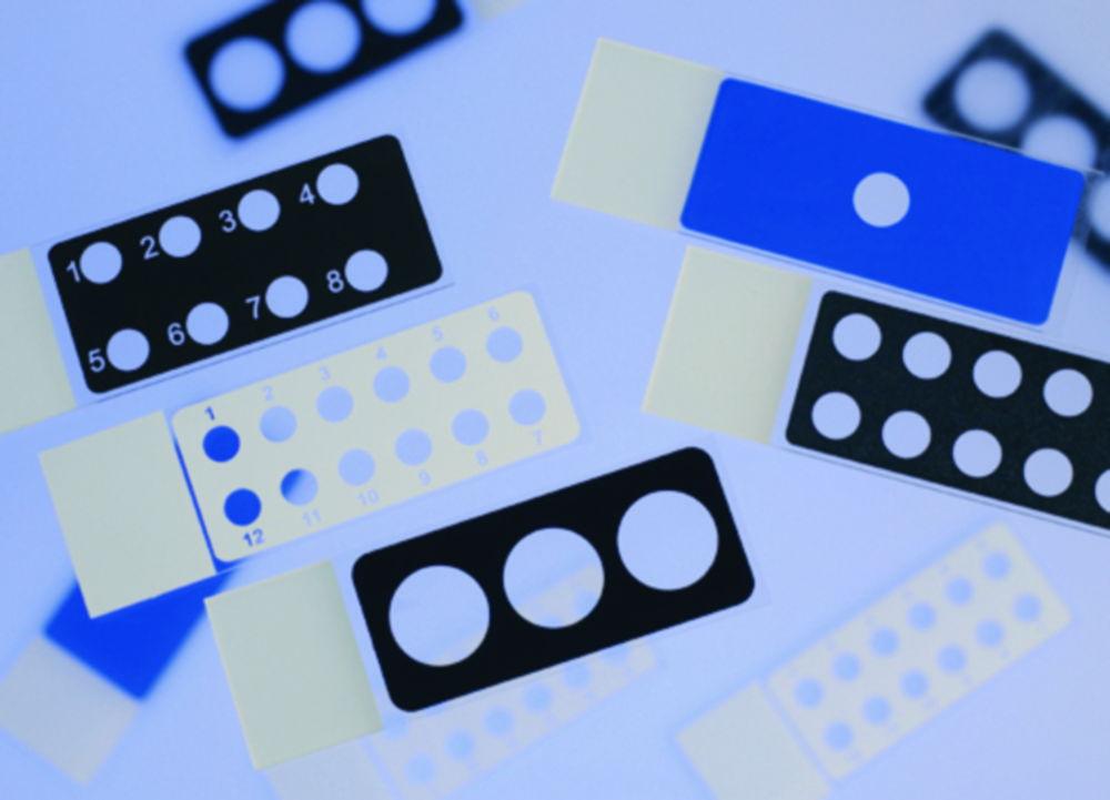 Epredia Diagnostic Slides 25x75x1 mm, PTFE White, 12 Cavities 5 mm – Pack of 100
