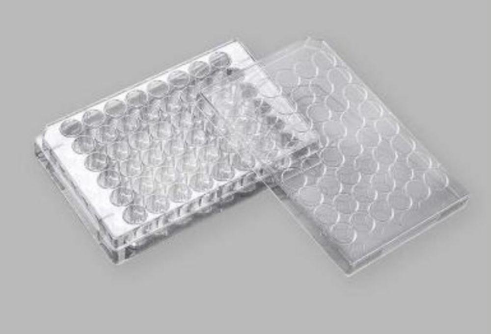 Jet Bio Tissue Culture Plates, 48-Well, PS, 0.85 cm Treated, Sterile, Pack of 100
