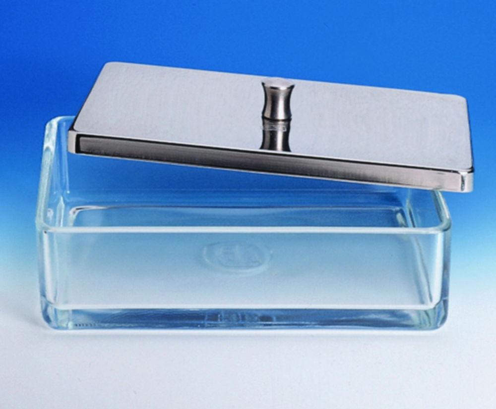 Hecht Instrument Tray, Glass 200x100x50 mm with Stainless Steel Cover

