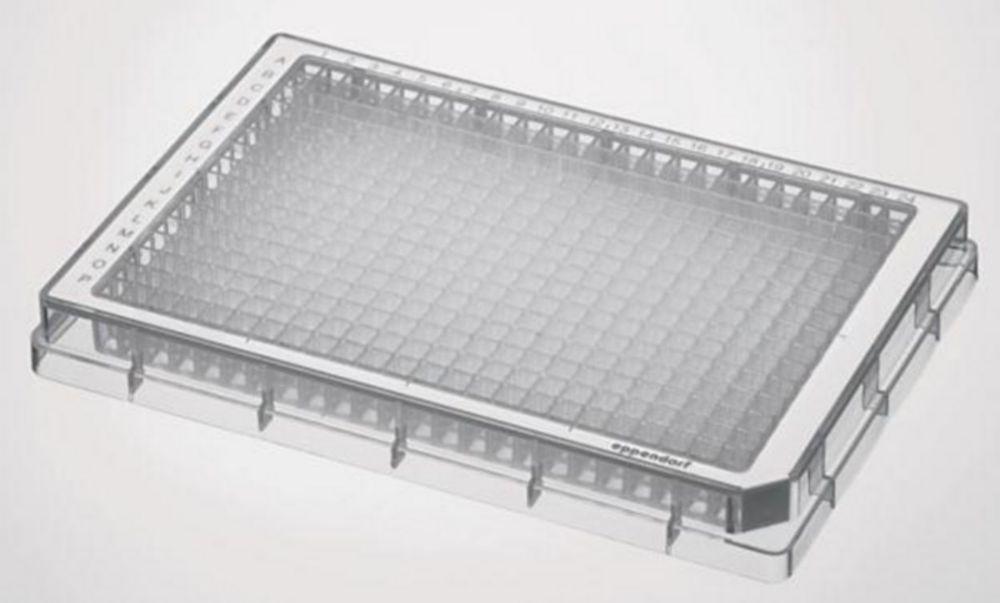 Eppendorf Microplate 384/F-PP Clear Wells, Border Color White, PCR Clean, 240 Plates (10x24 pcs)

