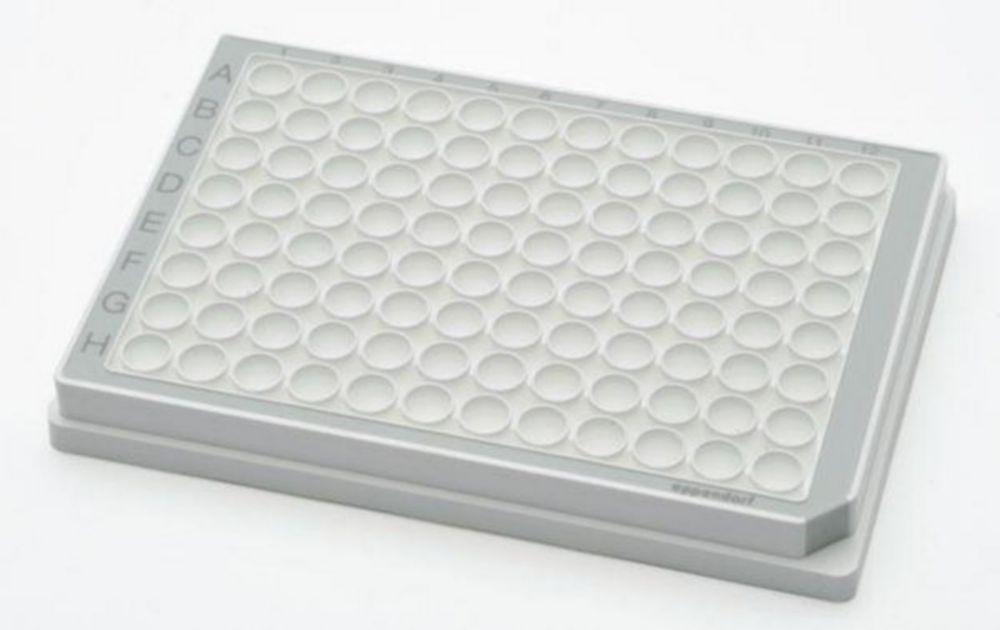 Eppendorf Microplate 96/V-PP, White Wells, Border Color Grey, PCR Clean, Pack of 80 Plates

