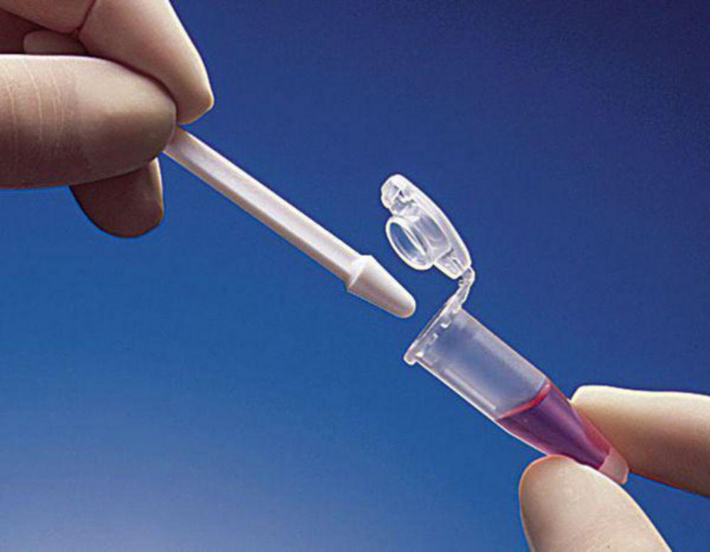 Eppendorf Micro Pestle for Reaction Vessels, Pack of 10