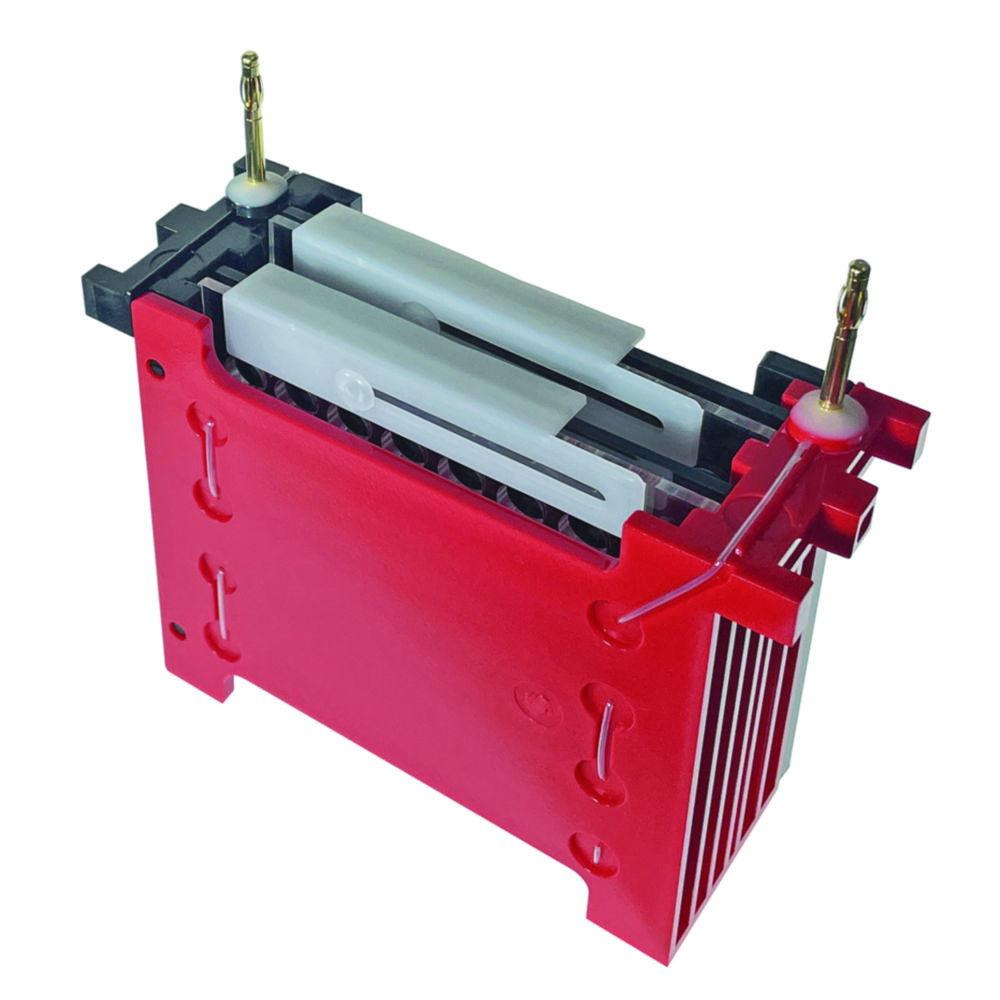 miniBLOT 10 x 8cm electroblotting system for 2 gels