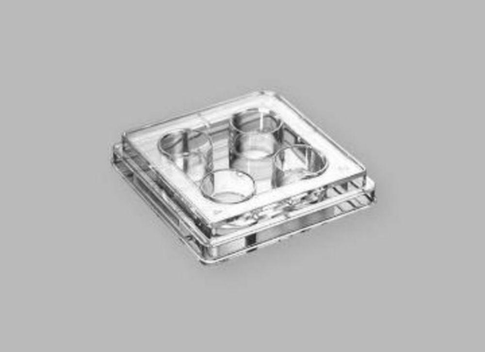 Tissue culture plates 4-well, PS 1.96cm², non-treated, sterile General type for proliferation, pack of 100