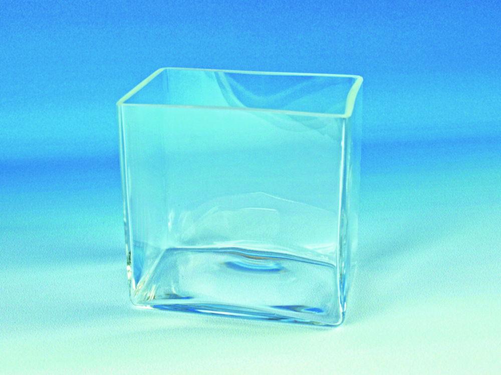 Hecht Glass Tank 300x220x150 mm, Fine Ground Rim
