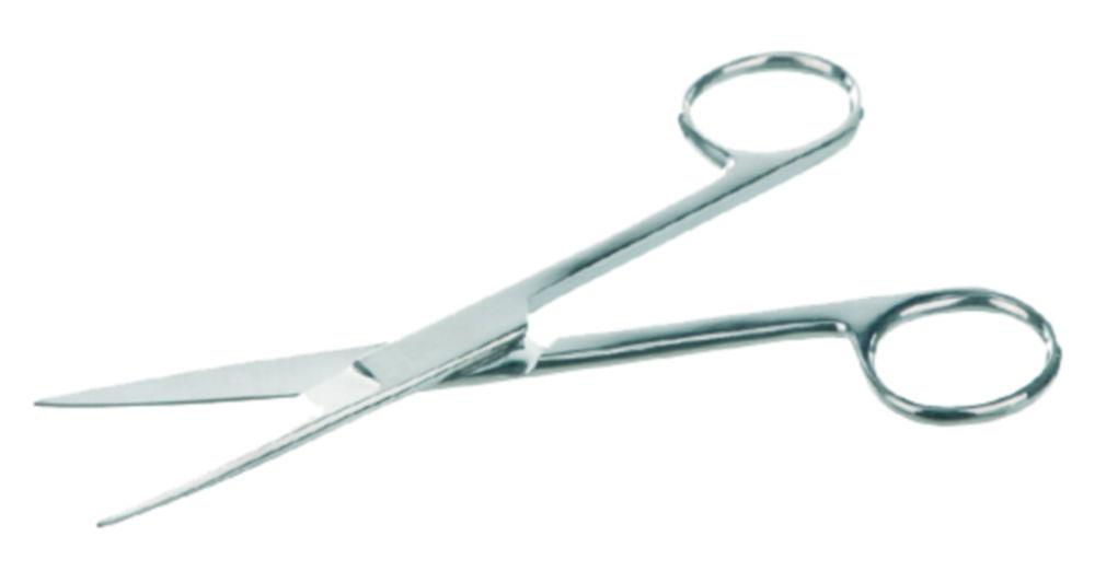 Bochem Instrumente Stainless Steel Scissors, Straight, Pointed, 130 mm in Length