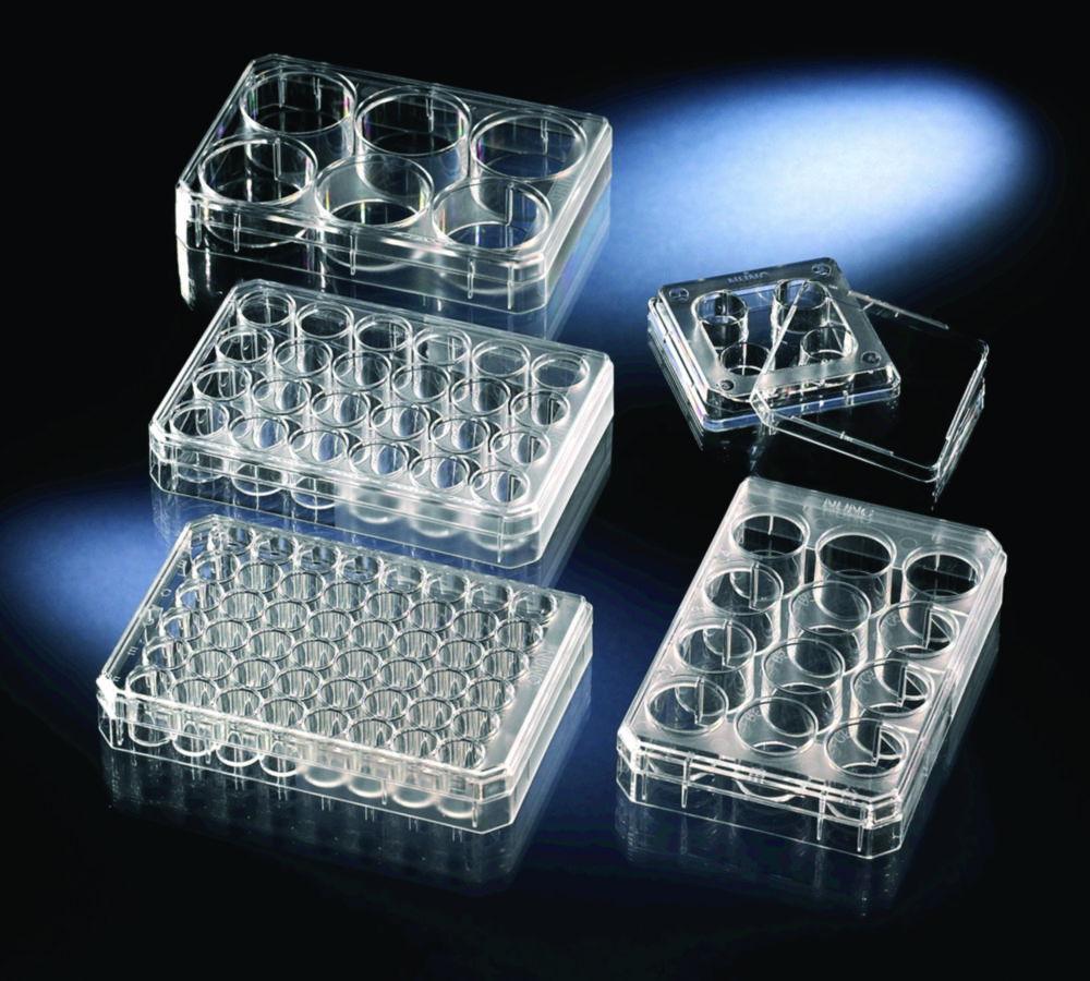 Thermo Nunc 12-Well Cell-Culture Treated Multidishes with Lid, Sterile, Pack of 75
