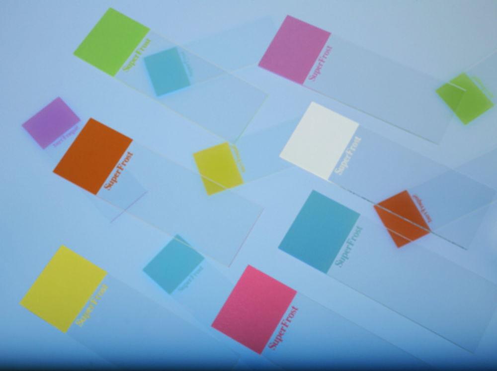 Epredia Superfrost-OT Microscope Slides, 76 × 26 mm, 1 mm Thick, Ground Edges, Blue – Pack of 50