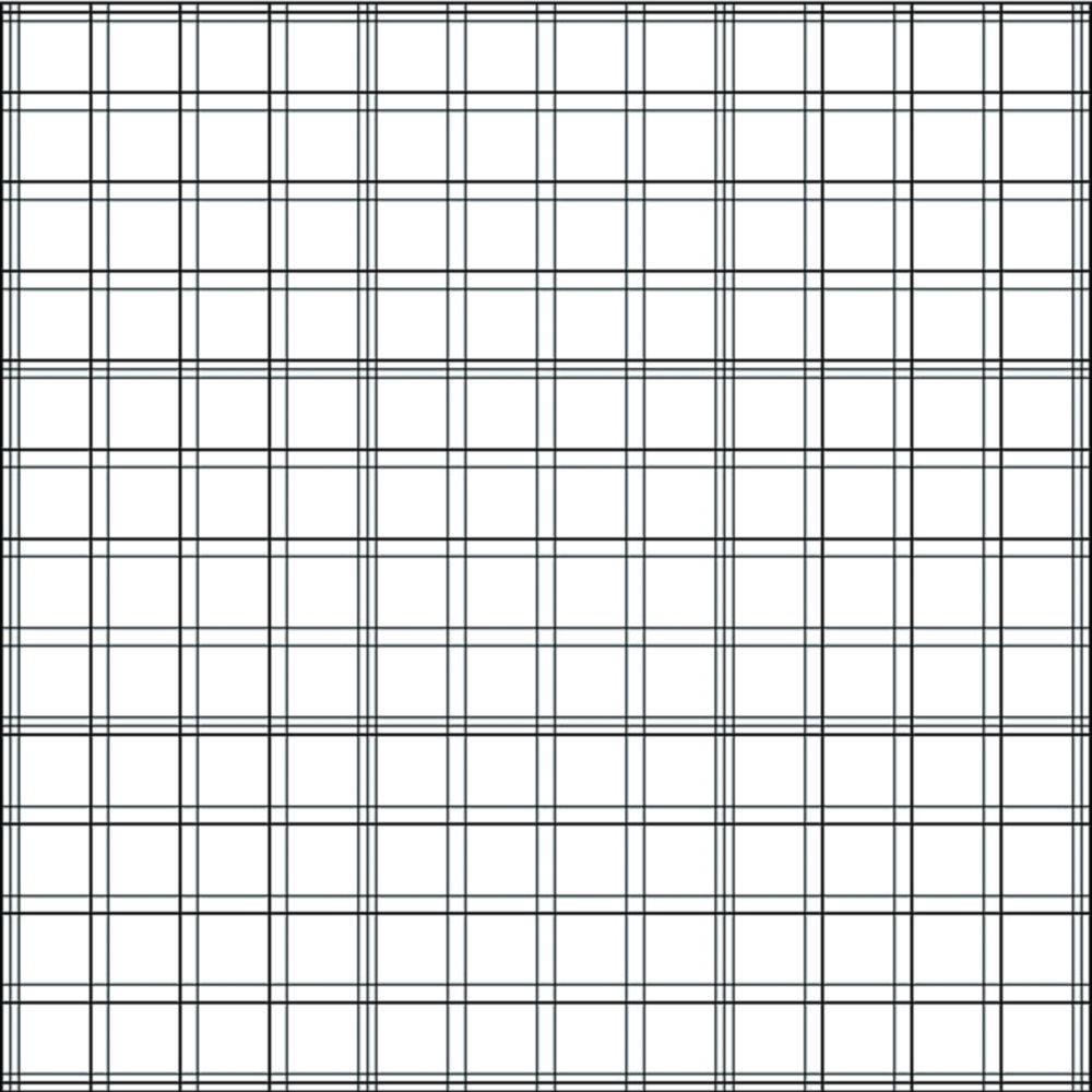 BRAND BLAUBRAND Bürker Counting Chamber, Double Ruling, with Spring Clips, 0.1mm Depth

