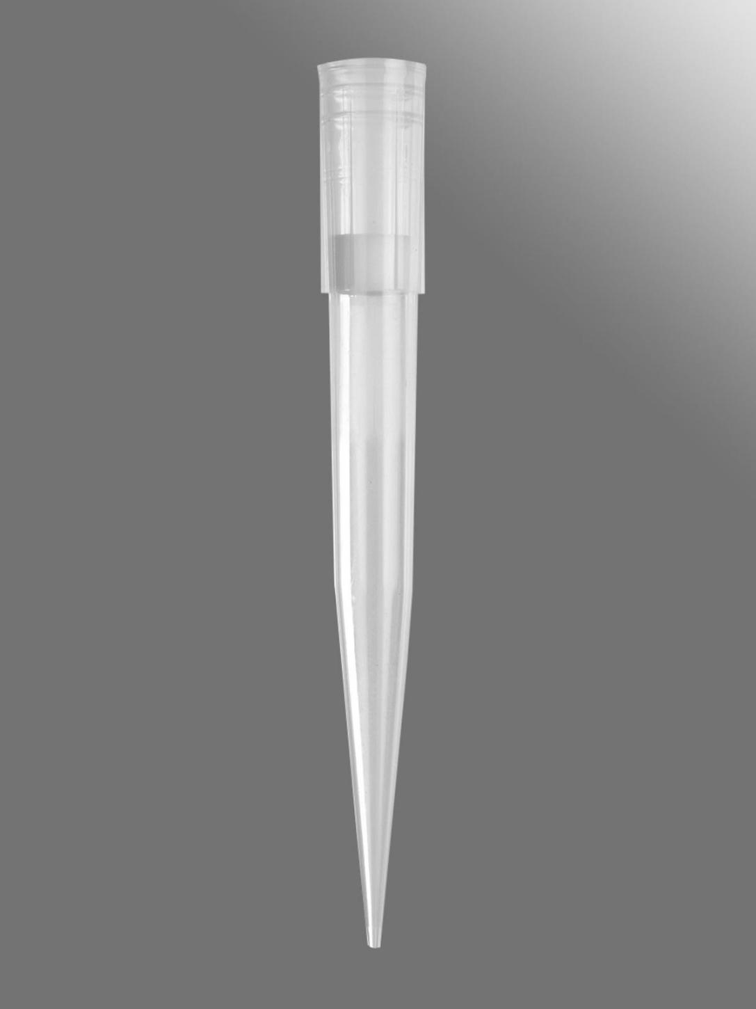 1000ul Filter Tips, Clear, 1000 Tips/Unit