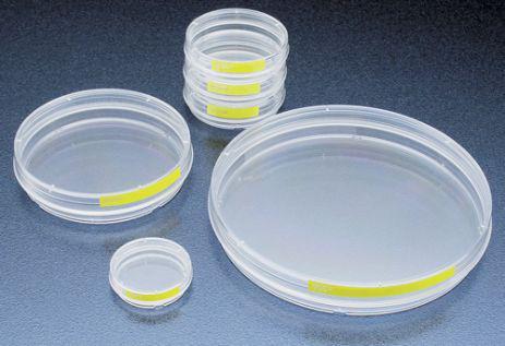 Tissue Culture Dish 100mm, 60Cm2, 10 Pcs/Unit, 24 Units/Case