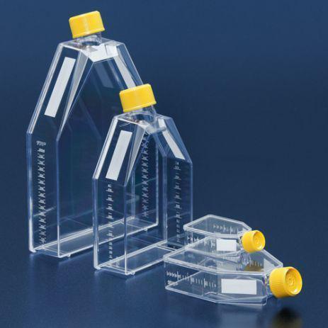 Tissue Culture Flask 75Cm2, Vent Screw Cap, 5 Pcs/Unit, 20 Units/Case