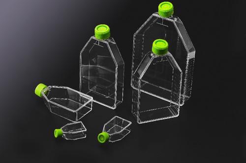 600ml Tissue Culture Flask, 182 Cm², Tc-Treated, Plug Seal Cap, Gamma Sterile, 40pcs