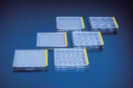 Tissue Culture Test Plate, 24 Wells, Flat, 126 Units/Case