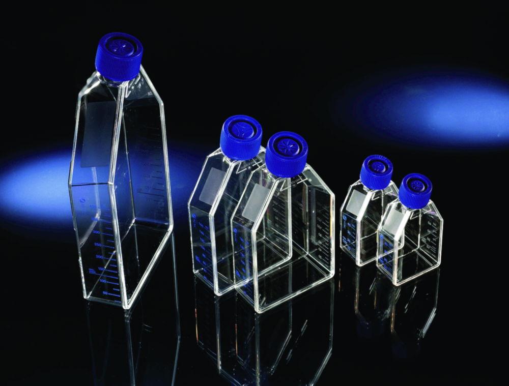 Thermo Nunc EasyFlask PS 7ml 25cm Nunclon Filter Caps Sterile (Pack of 200)