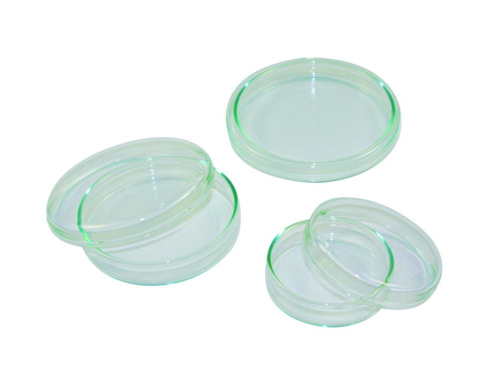 LLG Petri Dish 20x120 mm, Glass