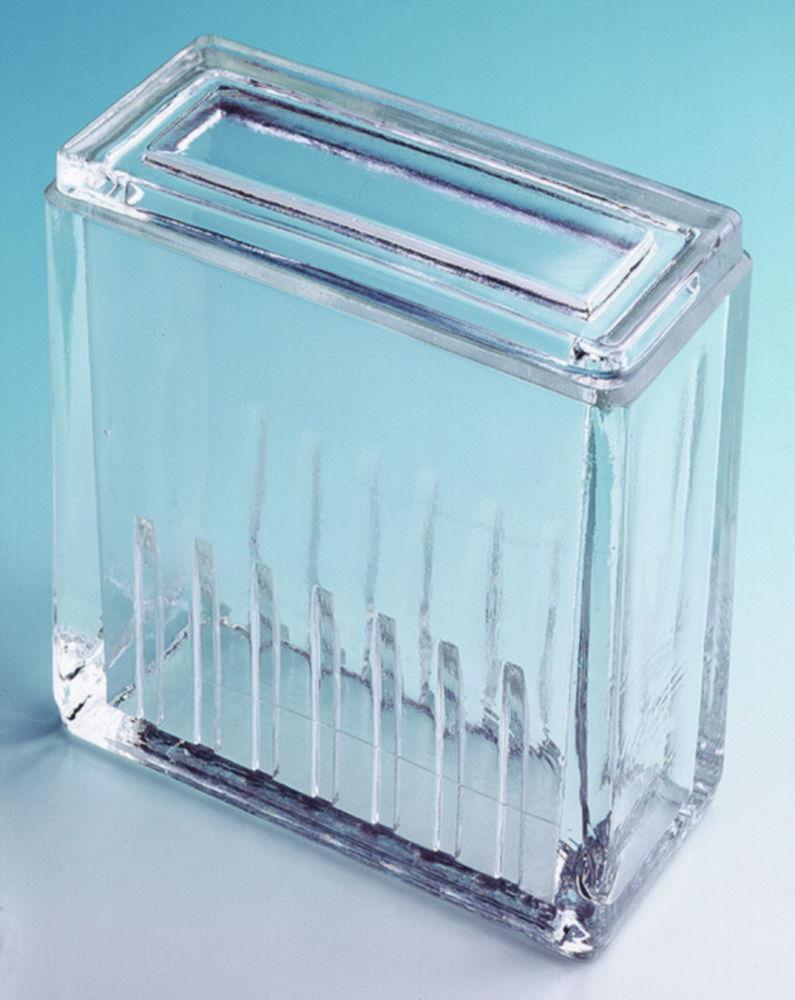 Glaswarenfabrik Karl Hecht Glass Staining Trough Hellendahl for 16 Slides